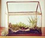 My treasure - Terrarium