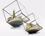 Glass Cube - Terrarium