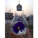 Ideas - Terrarium