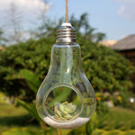 Ideas - Terrarium