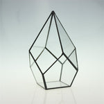 Glass Pyramid - Terrarium