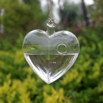 My Heart - Terrarium