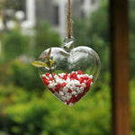 My Heart - Terrarium