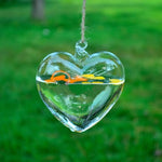 My Heart - Terrarium