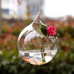 Water Drop - Terrarium