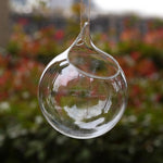 Water Drop - Terrarium