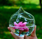 Water Drop - Terrarium