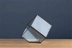Glass Cube - Terrarium