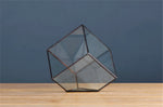 Glass Cube - Terrarium