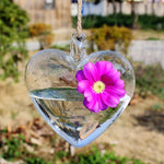 My Heart - Terrarium