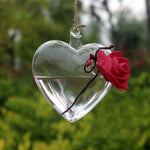 My Heart - Terrarium