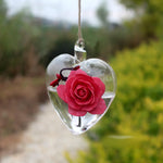 My Heart - Terrarium