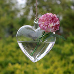 My Heart - Terrarium