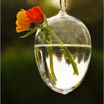 Glass Egg - Terrarium