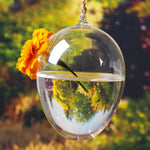 Glass Egg - Terrarium