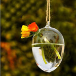 Glass Egg - Terrarium