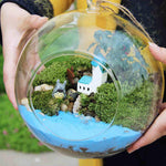 My Glass Ball - Terrarium
