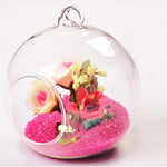 My Glass Ball - Terrarium