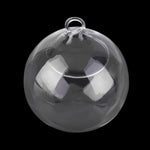 My Glass Ball - Terrarium