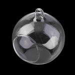 My Glass Ball - Terrarium
