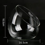 Hydroponic - Terrarium