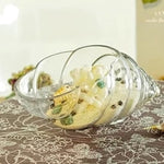 Glass Shell - Terrarium