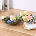Glass Shell - Terrarium