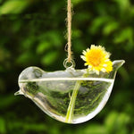 Liberty Bird - Terrarium