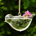Liberty Bird - Terrarium