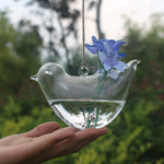 Liberty Bird - Terrarium
