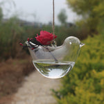 Liberty Bird - Terrarium