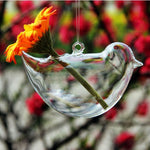 Liberty Bird - Terrarium