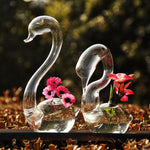 Swan Of Love - Terrarium (Pair)