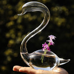 Swan Of Love - Terrarium (Pair)