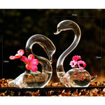 Swan Of Love - Terrarium (Pair)