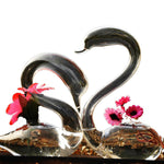 Swan Of Love - Terrarium (Pair)
