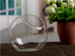 Aquarium Ball - Terrarium