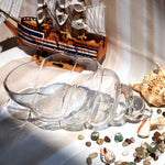 Glass Shell - Terrarium