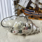 Glass Shell - Terrarium