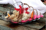 Glass Shell - Terrarium