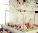 My treasure - Terrarium