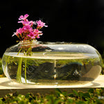 Glass Jar - Terrarium