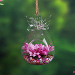 My Angel - Terrarium