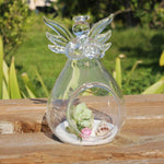 My Angel - Terrarium