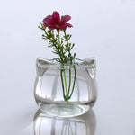 Glass Cat - Terrarium