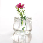 Glass Cat - Terrarium