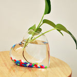 My Glass Heart - Terrarium