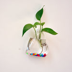My Glass Heart - Terrarium