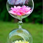 Double Glass Ball - Terrarium