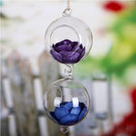 Double Glass Ball - Terrarium